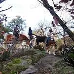 Le Des Chevaliers *