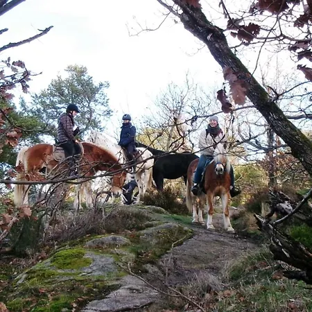 Le Des Chevaliers *
