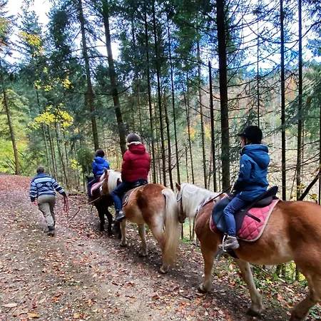 Apartman Le Des Chevaliers Sainte-Croix-aux-Mines