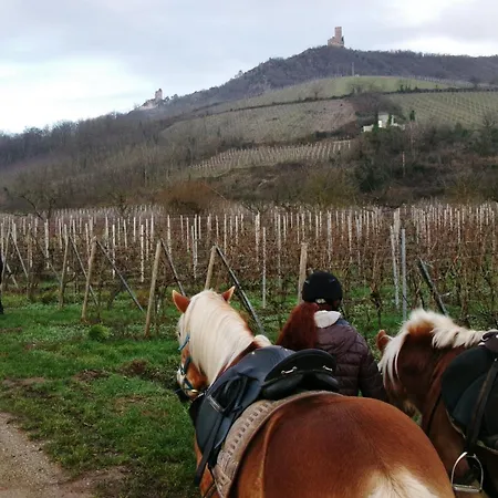 Le Des Chevaliers Sainte-Croix-aux-Mines