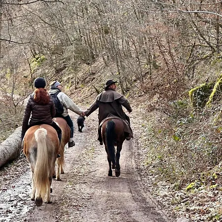 Le Des Chevaliers * Sainte-Croix-aux-Mines