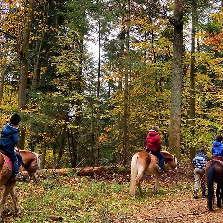 Apartman Le Des Chevaliers *