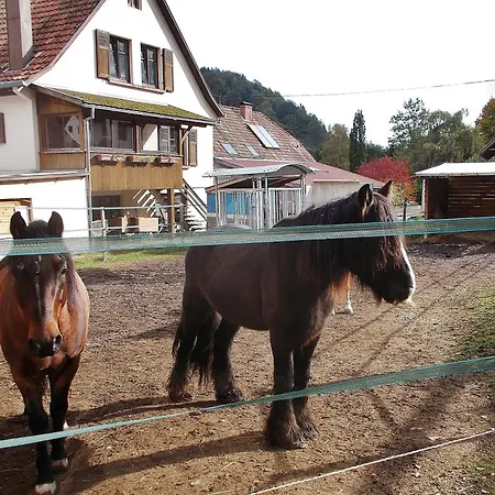 Le Des Chevaliers Apartman